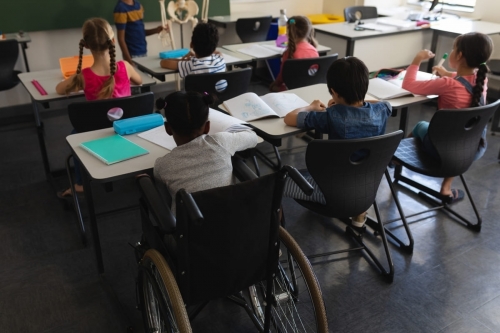Inclusione scolastica degli alunni con disabilità e altri BES - A. N. M. I. C.