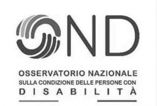 Piano di Azione per promozione dei diritti e l’inclusione delle persone disabili - A. N. M. I. C.